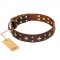 'High Fashion' FDT Artisan Embellished Brown Leather Cane Corso Collar