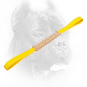 Small Leather Cane Corso Bite Tug