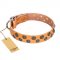 "Precious Sparkle" FDT Artisan Tan Leather Cane Corso Collar - 1 1/2 inch (40 mm) wide