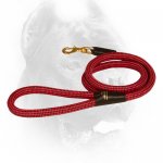20 mm Nylon Cord Cane Corso Leash with Brass Snap Hook