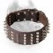 2 Inch Leather Cane Corso Collar with Studs and Spikes