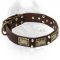 Vintage Leather Cane Corso Collar with Nickel Studs and Brass Plates