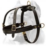 Tracking/Pulling/Agitation Leather Dog Harness For Cane Corso