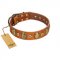 "Crystal Sand" FDT Artisan Tan Leather Cane Corso Collar with Vintage Looking Oval and Round Studs