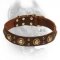 Attractive Fancy Design Leather Cane Corso Collar