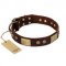 "Shining Armour" FDT Artisan Brown Leather Cane Corso Collar with Decorations