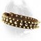 Exclusive Leather Spiked & Studded Dog Collar-Fancy Dog Collar With Classy Decoration