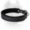 Best Training Dog Collar Padded with Heavy Felt for Cane Corsos (1 inch (2.5cm) width)