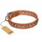 "Daily Chic" FDT Artisan Tan Leather Cane Corso Collar with Decorations