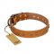 "Autumn Story" FDT Artisan Leather Cane Corso Collar with Old Bronze Look Studs