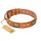 "Saucy Nature" FDT Artisan Tan Leather Cane Corso Collar with Old Bronze Look Plates and Skulls