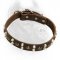 Custom Studded Leather Dog Collar for Cane Corso