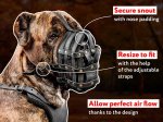 Everyday Lightweight Well Ventilated Cane Corso Muzzle