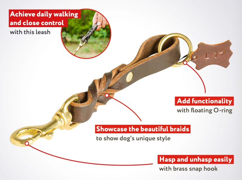 8 Inch Short Pull Tab Leather Cane Corso Leash