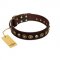 "Street Fashion" FDT Artisan Brown Leather Cane Corso Collar Adorned with Circles and Skulls