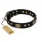 "High Fashion" FDT Artisan Studded with Plates Black Leather Cane Corso Collar