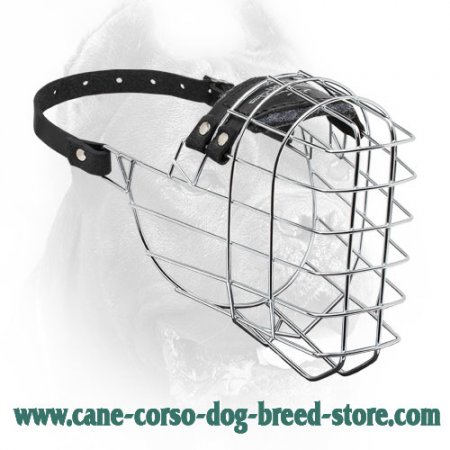 'The Silencer' Easy to Use Wire Basket Cane Corso Muzzle With One Strap