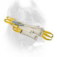 Fire Hose Cane Corso Bite Training Set (6 Dog Items)