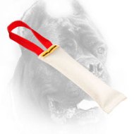Small Fire Hose Cane Corso Bite Tug for Puppy Training