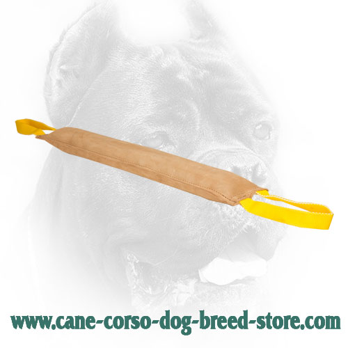 Large Leather Cane Corso Bite Tug with Two Handles