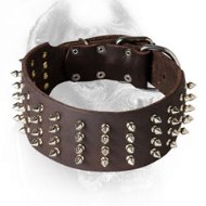 3 Inch Leather Cane Corso Collar with 4 Rows of Spikes