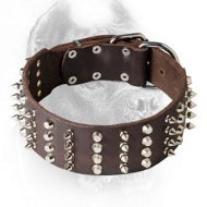 2 Inch Leather Cane Corso Collar with Studs and Spikes  2 Inch Leather Cane Corso Collar with Studs and Spikes
