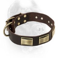 Designer Leather Cane Corso Collar with Vintage Brass Plates