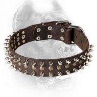War Design Leather Cane Corso Collar with Spikes and Half-Ball Studs