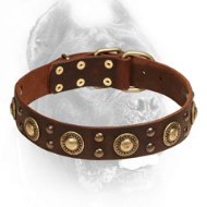 Attractive Fancy Design Leather Cane Corso Collar
