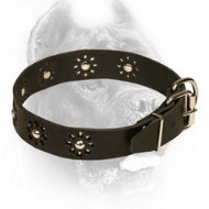Leather Cane Corso Collar with Flower Ornament