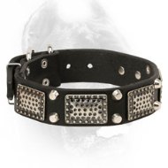 Gorgeous Leather Cane Corso Collar with Vintage Plates and Studs