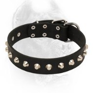 "Starry and Elegant" Leather Cane Corso Collar with Silver-Like Studs