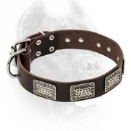 Vintage Leather Cane Corso Collar with Studs and Dotted Plates