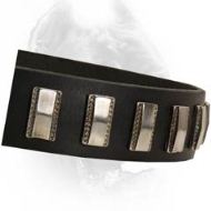 Elegant Leather Cane Corso Collar with Small Plates