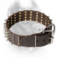 2 Inch Spiked Leather Cane Corso Collar