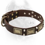 Vintage Leather Cane Corso Collar with Nickel Studs and Brass Plates