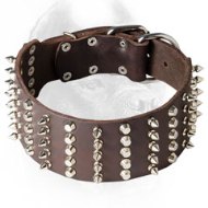 3 Inch Leather Cane Corso Collar with Spikes and Studs