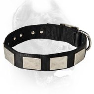 Nylon Dog Collar For Large and Medium Breeds With Massive Plates