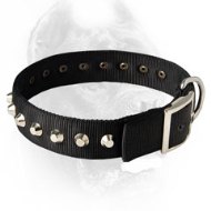 Gorgeous Nylon Dog Collar With Nickel Pyramids