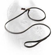 Leather Choke Collar and Leash Combo Practical in Use