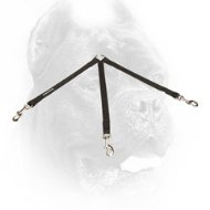 Nylon Cane Corso Coupler for Walking 3 Dogs