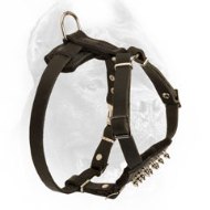 Puppy Spiked Design Leather Cane Corso Harness