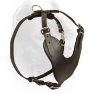 Multifunctional Leather Cane Corso Harness for Daily Use