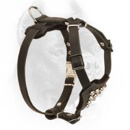 Small Leather Cane Corso Harness with Pyramids