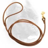 5 mm Round Leather Cane Corso Leash for Dog Shows