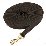 Strong Leather Cane Corso Leash Meant for Tracking