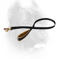 Multipurpose Nylon Cane Corso Leash with Padded Handle