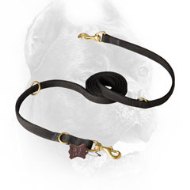 Universal Nylon Cane Corso Leash for Different Activities
