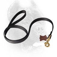 Long Nylon Cane Corso Leash for Police Work and Tracking