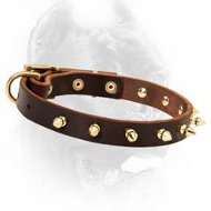 Field Leather Dog Collar with Amazingly Shining Brass Spikes